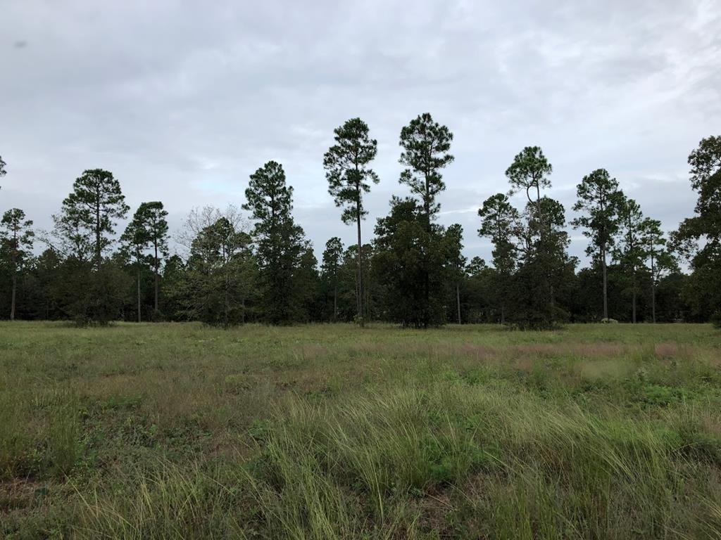 Lot 3 Hiwassee Run Aiken, SC 29803 - Photo 1 of 2