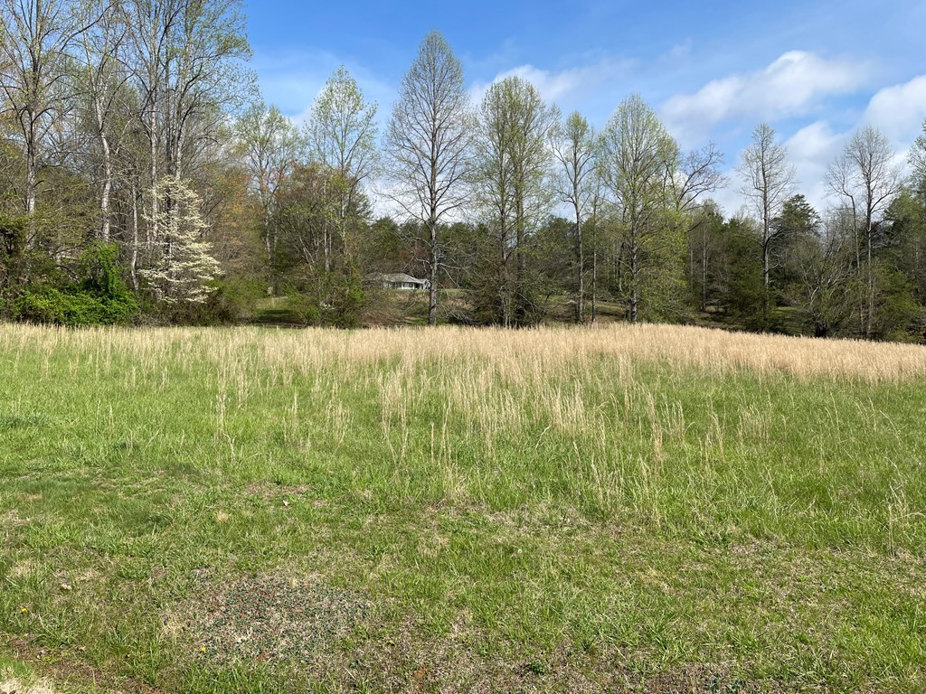 Lot 50 Licklog Ridge Hayesville, NC 28904 - Photo 3 of 3