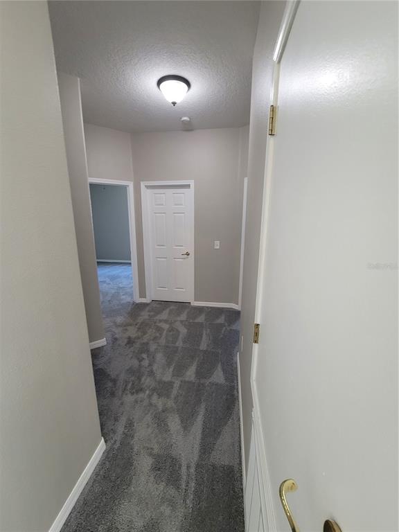 13276 Bainbridge Way Spring Hill, FL 34609 - Photo 7 of 39