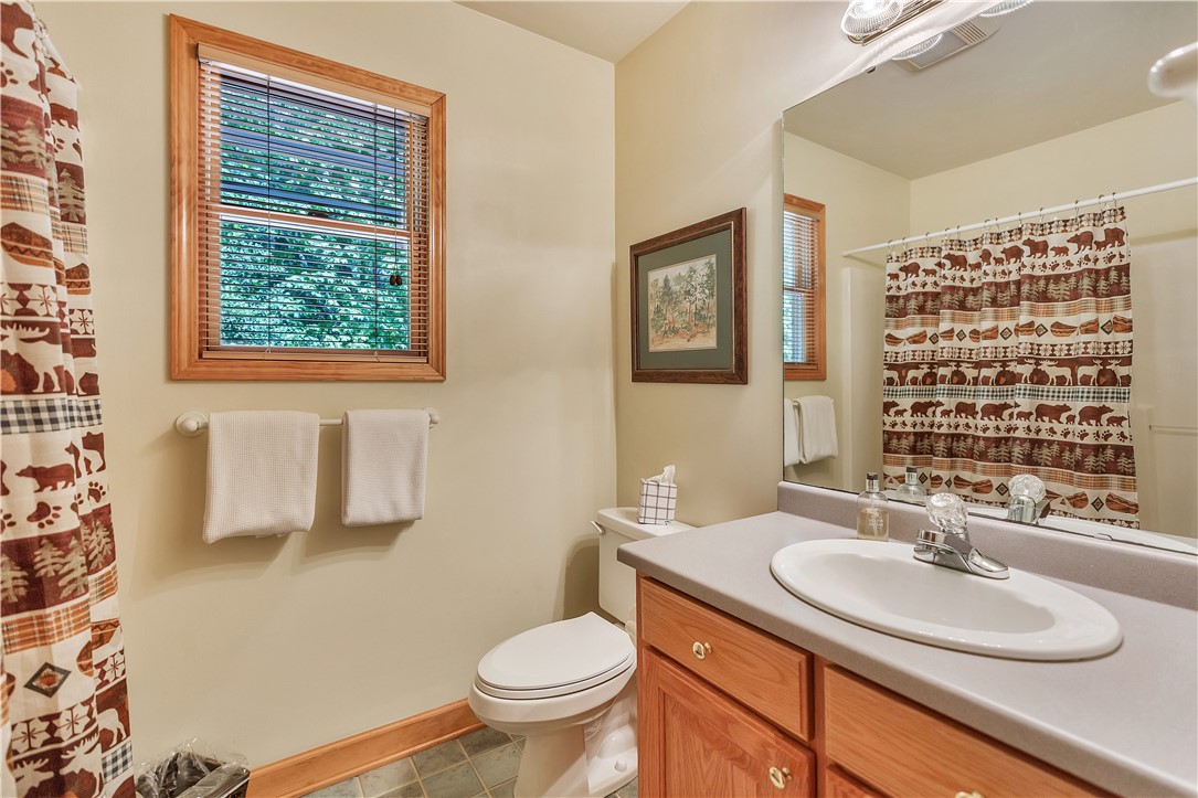 209 Highlands Way Tamassee, SC 29686 - Photo 30 of 50 Main Level Bath 2