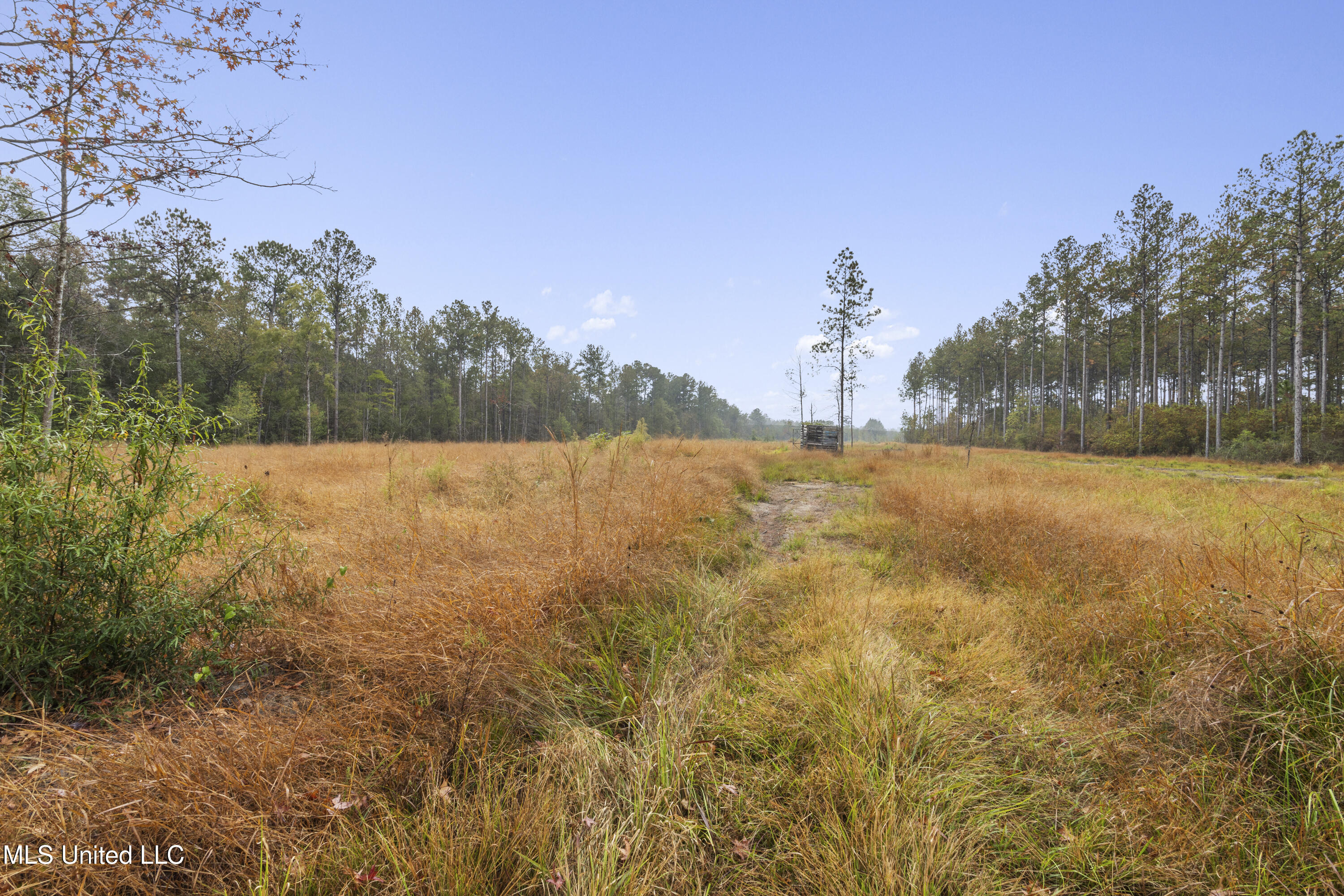 6294 Salem Road McLain, MS 39456 - Photo 34 of 43 034