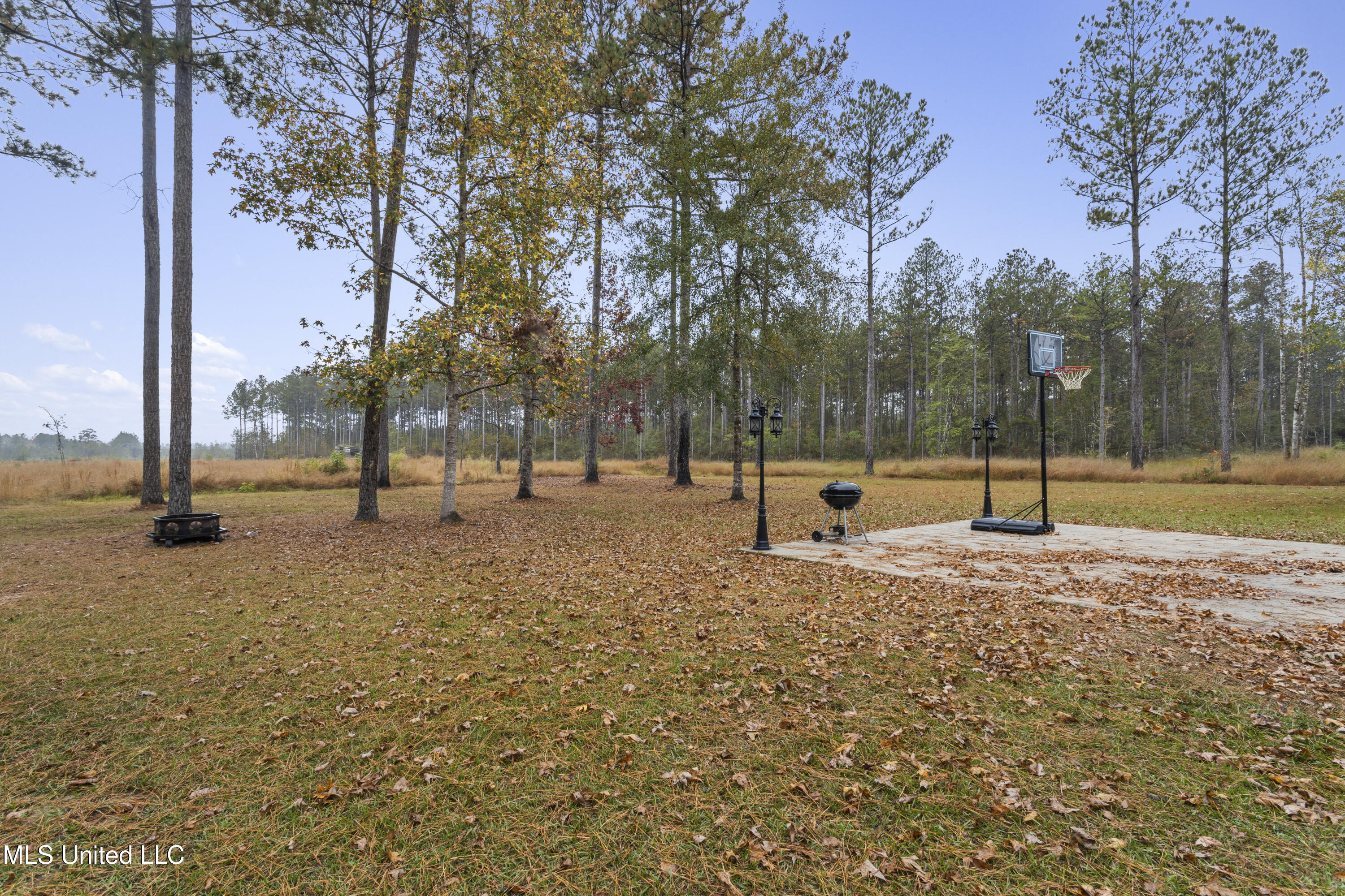 6294 Salem Road McLain, MS 39456 - Photo 36 of 43 036
