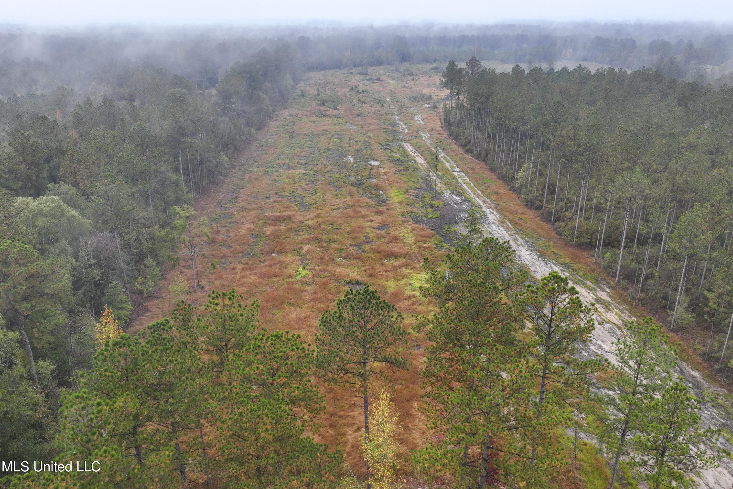 6294 Salem Road McLain, MS 39456 - Photo 38 of 43 038
