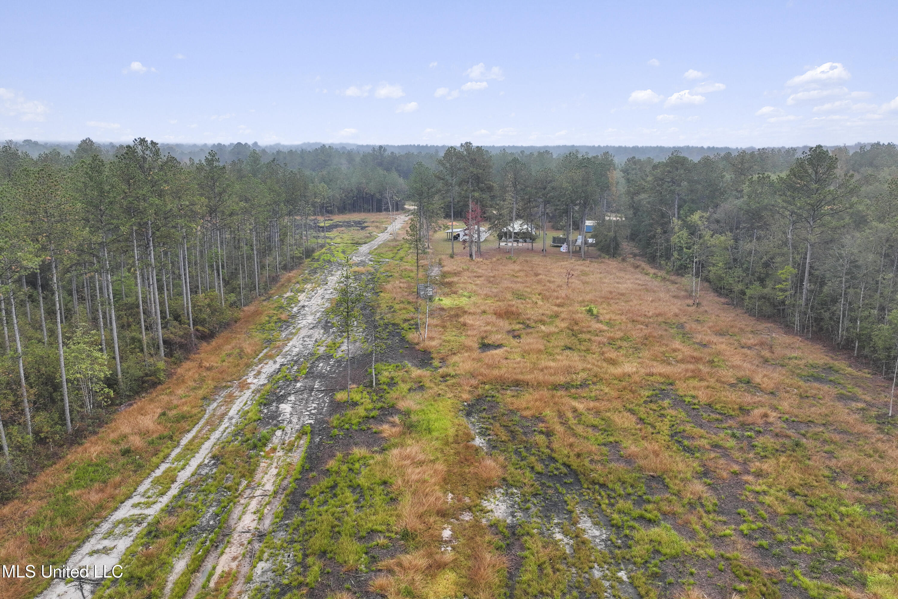 6294 Salem Road McLain, MS 39456 - Photo 39 of 43 039