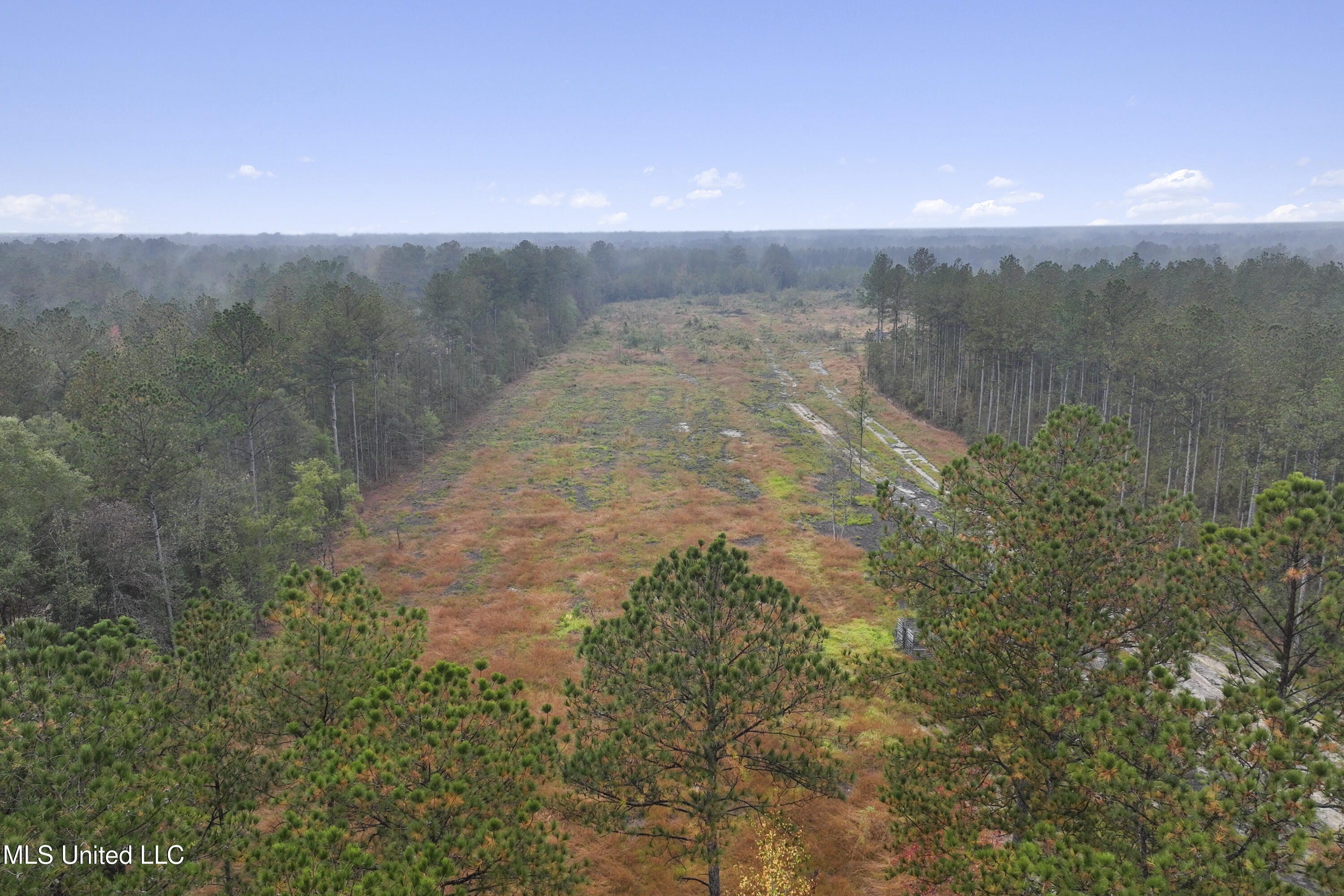 6294 Salem Road McLain, MS 39456 - Photo 42 of 43 043