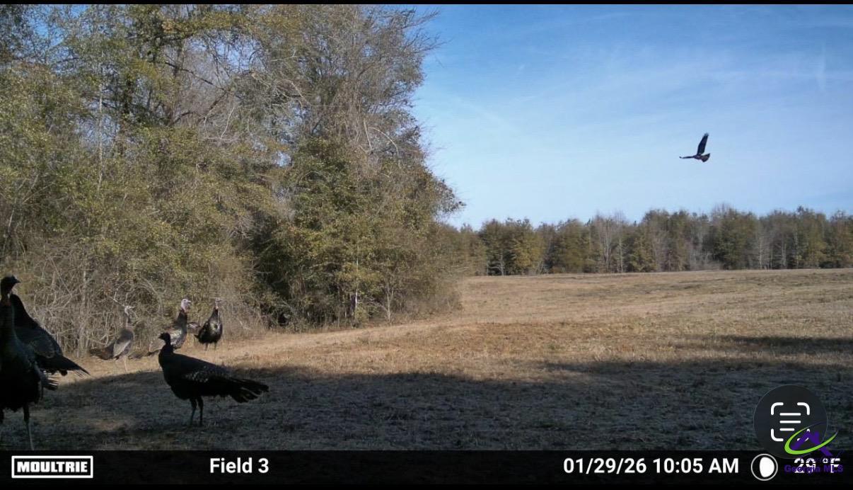 9036 Bullard Road Dry Branch, GA 31020 - Photo 38 of 72
