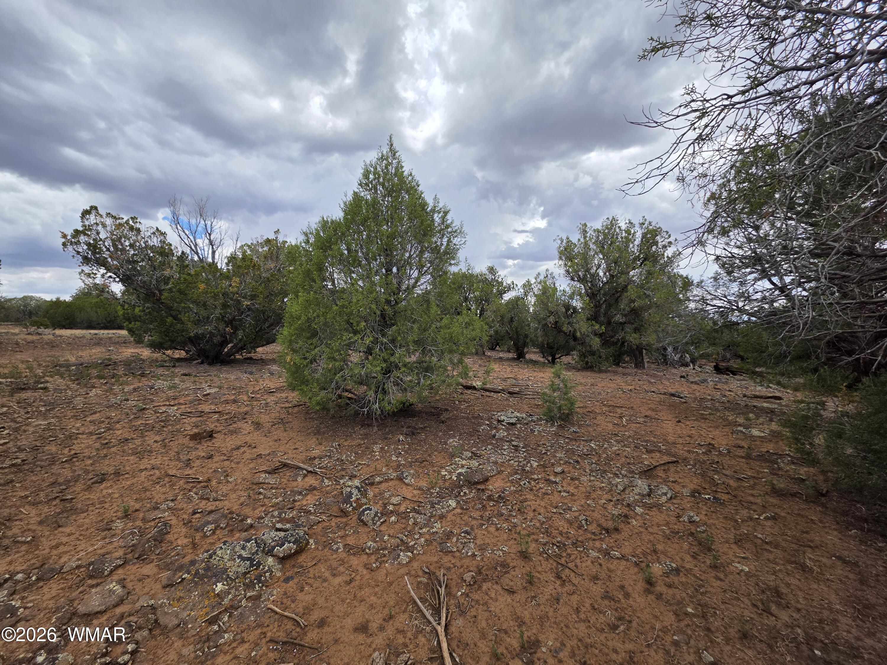 2075 Parker Ranch Road Show Low, AZ 85901 - Photo 13 of 29