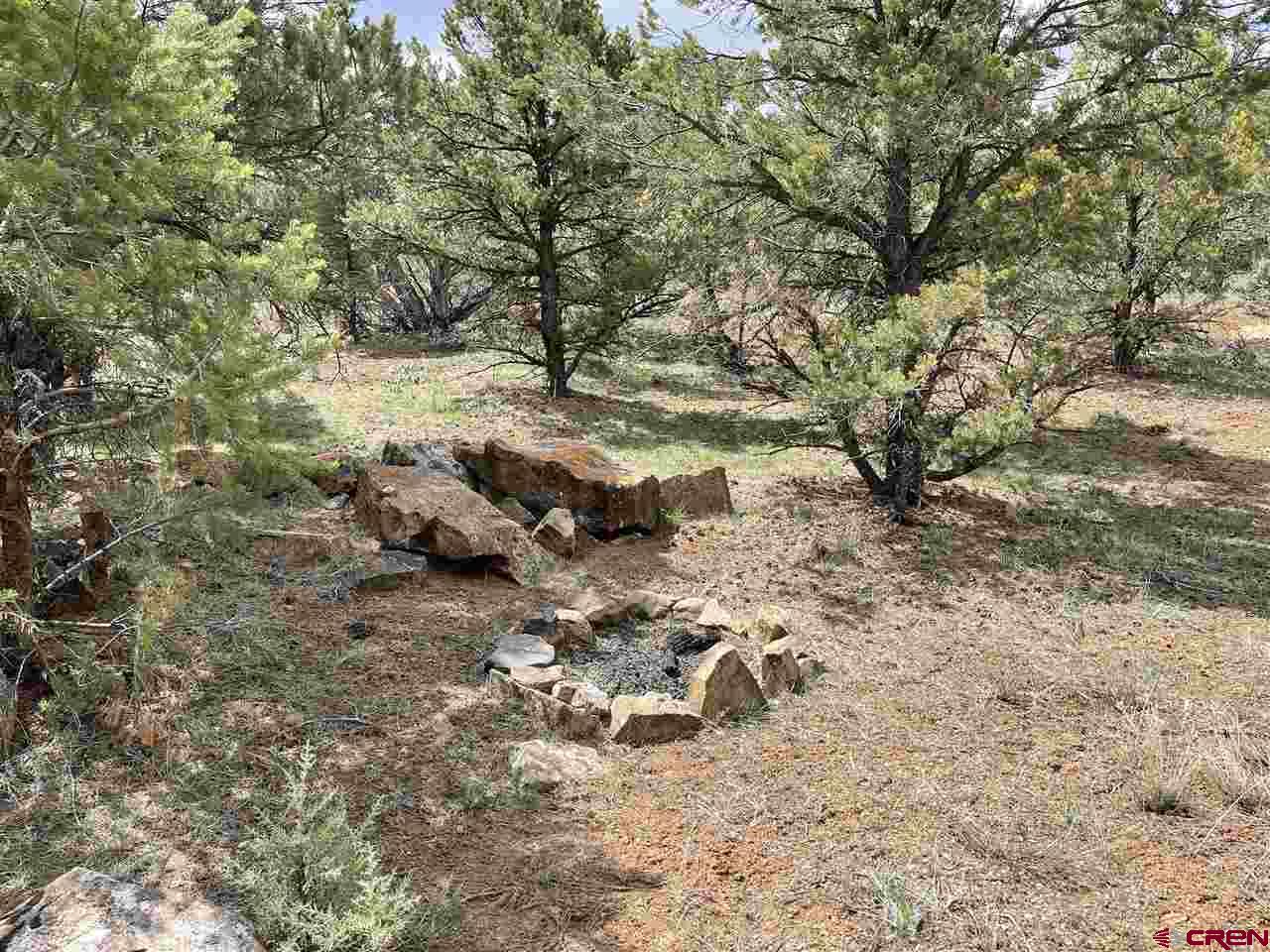 76557 B76 Road Crawford, CO 81415 - Photo 17 of 35 Gallery Image 17