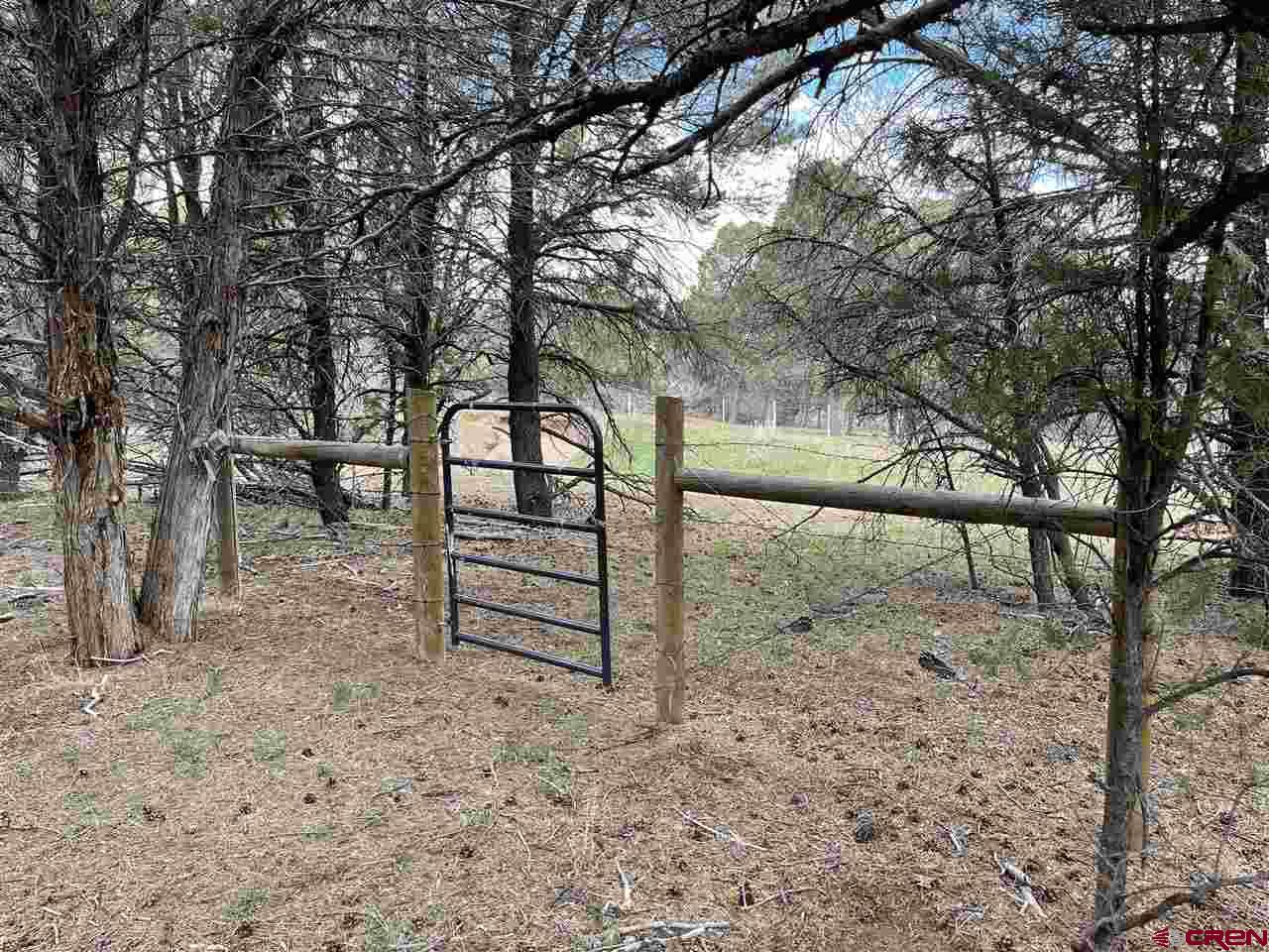 76557 B76 Road Crawford, CO 81415 - Photo 19 of 35 Gallery Image 19