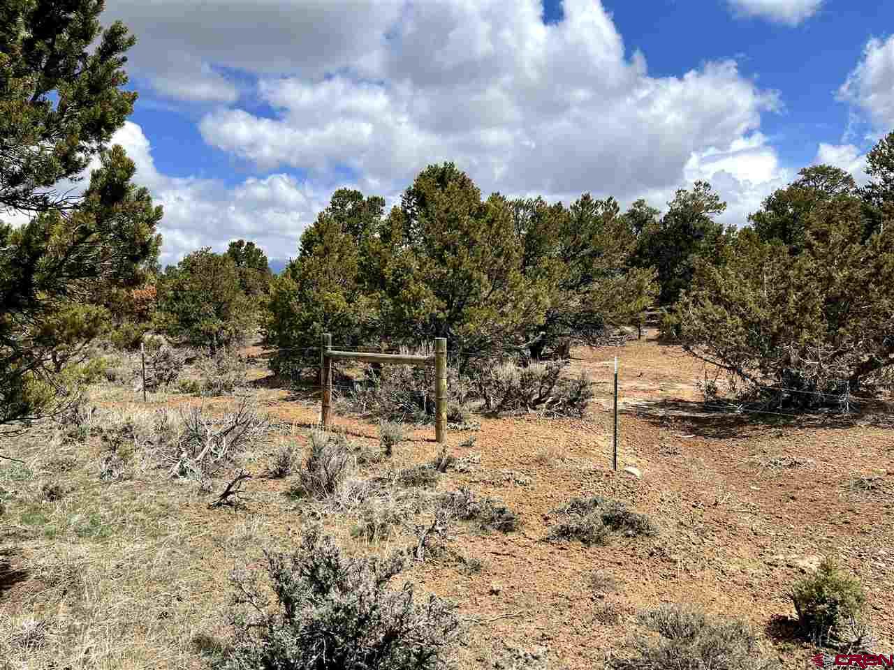 76557 B76 Road Crawford, CO 81415 - Photo 20 of 35 Gallery Image 20