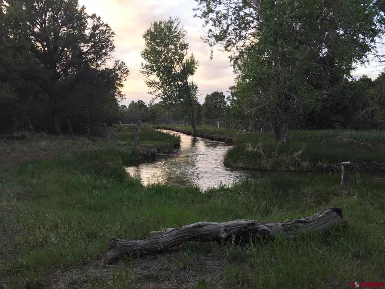 76557 B76 Road Crawford, CO 81415 - Photo 21 of 35 Gallery Image 21
