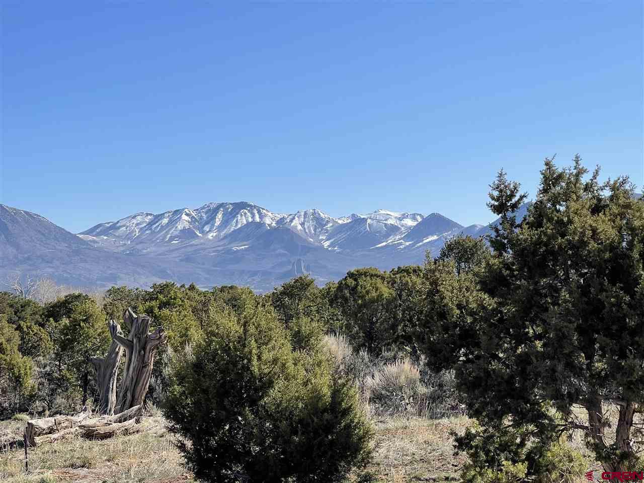 76557 B76 Road Crawford, CO 81415 - Photo 4 of 35 Gallery Image 4