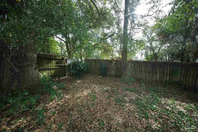 a view of a backyard