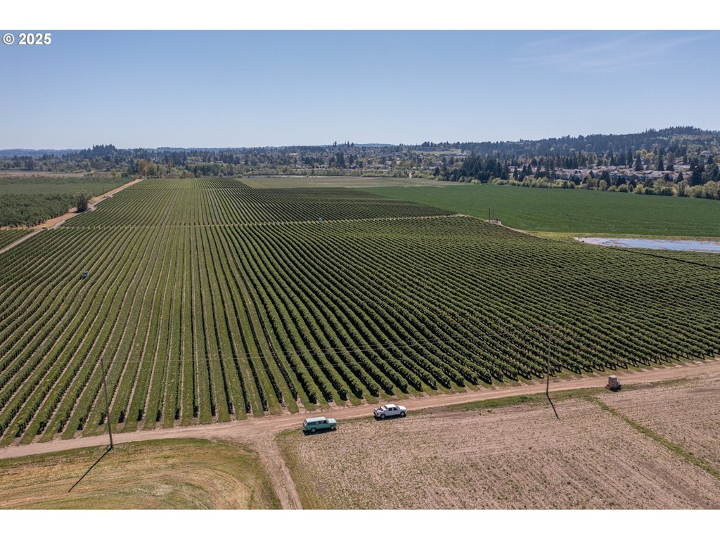 3372 Riverbend Road Salem, OR 97304 - Photo 1 of 40 a view of a terrace with a yard