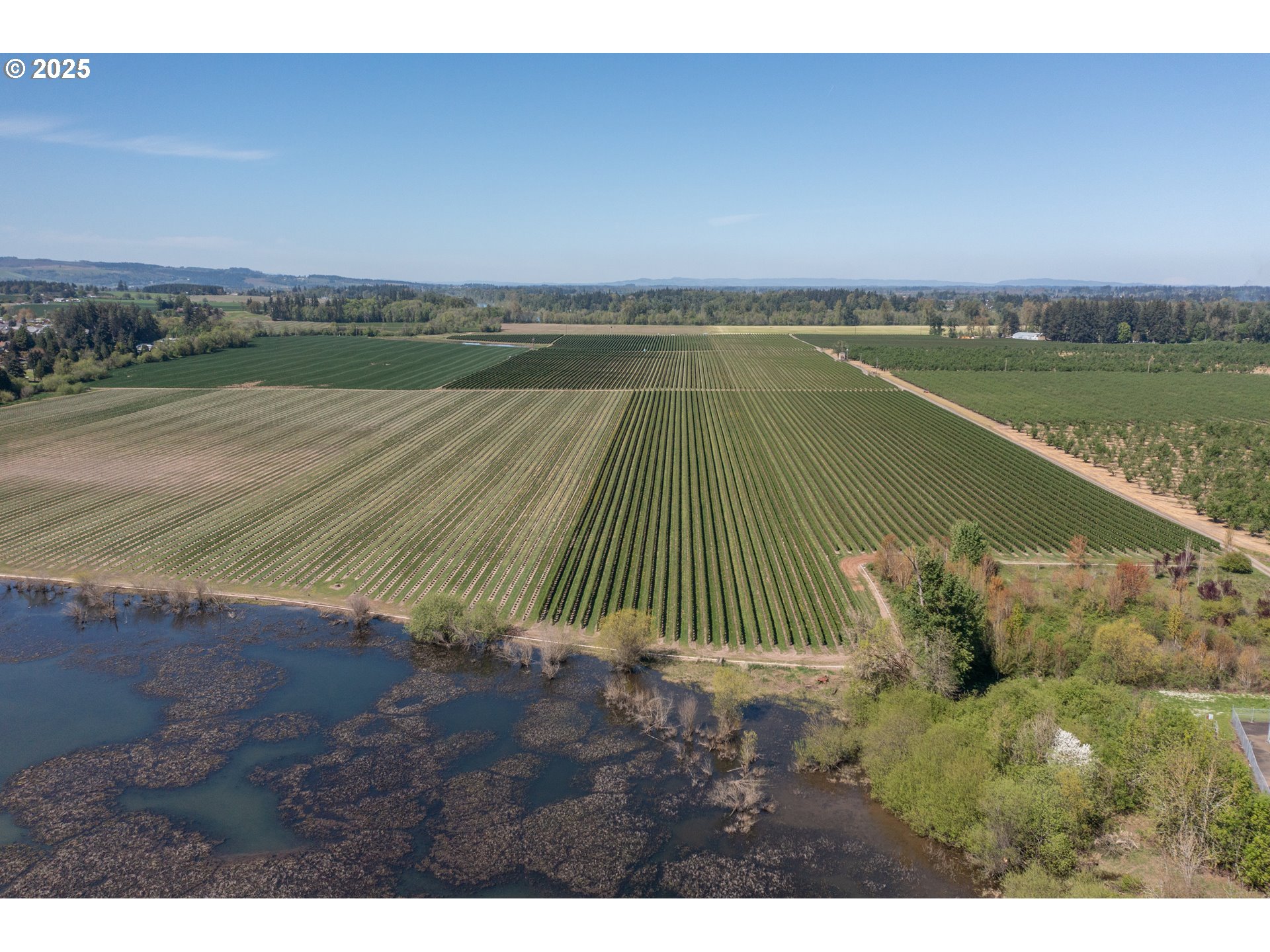 3372 Riverbend Road Salem, OR 97304 - Photo 16 of 40 a view of outdoor space and city view
