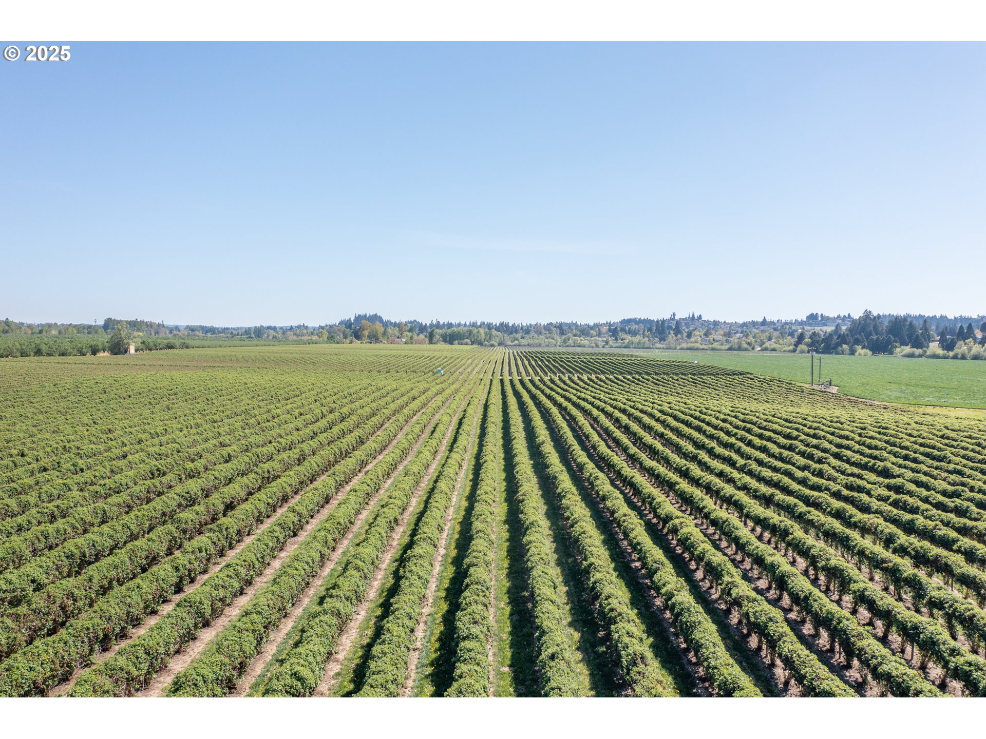 3372 Riverbend Road Salem, OR 97304 - Photo 24 of 40 a view of lake view and mountain view