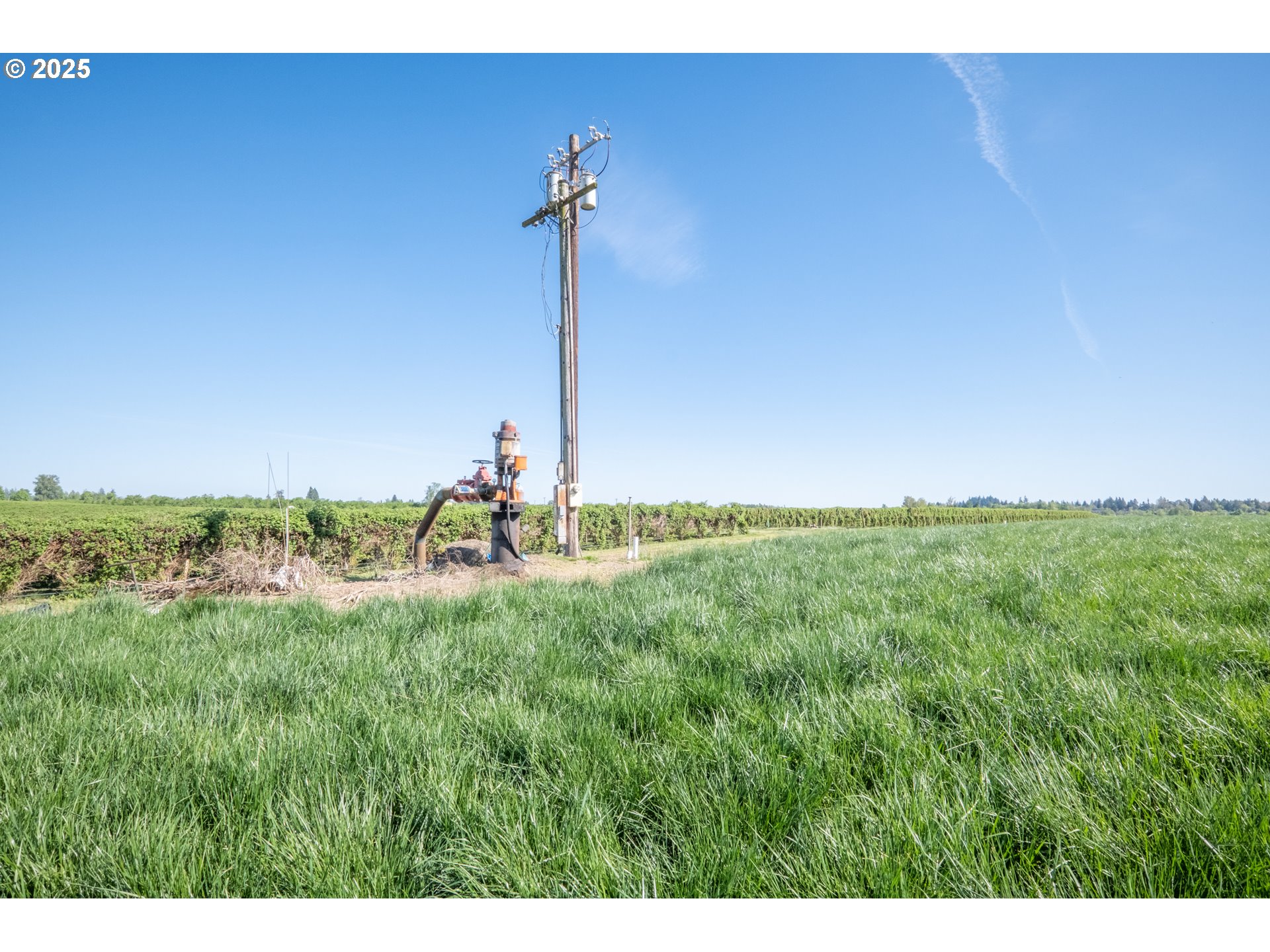 3372 Riverbend Road Salem, OR 97304 - Photo 29 of 40 a view of a garden with a tree