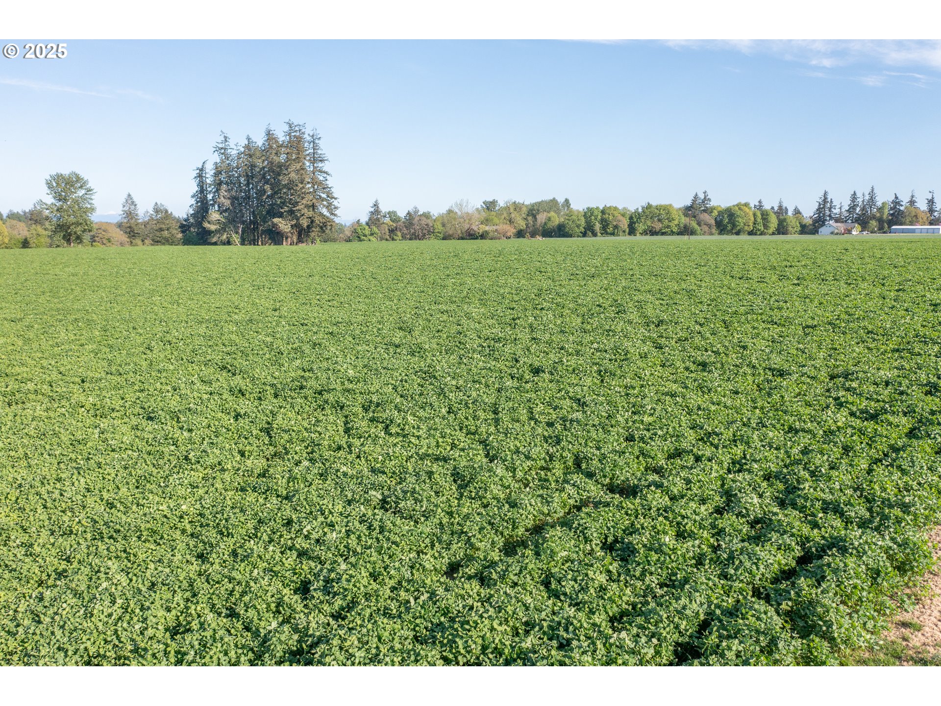 3372 Riverbend Road Salem, OR 97304 - Photo 30 of 40 a view of a lush green space