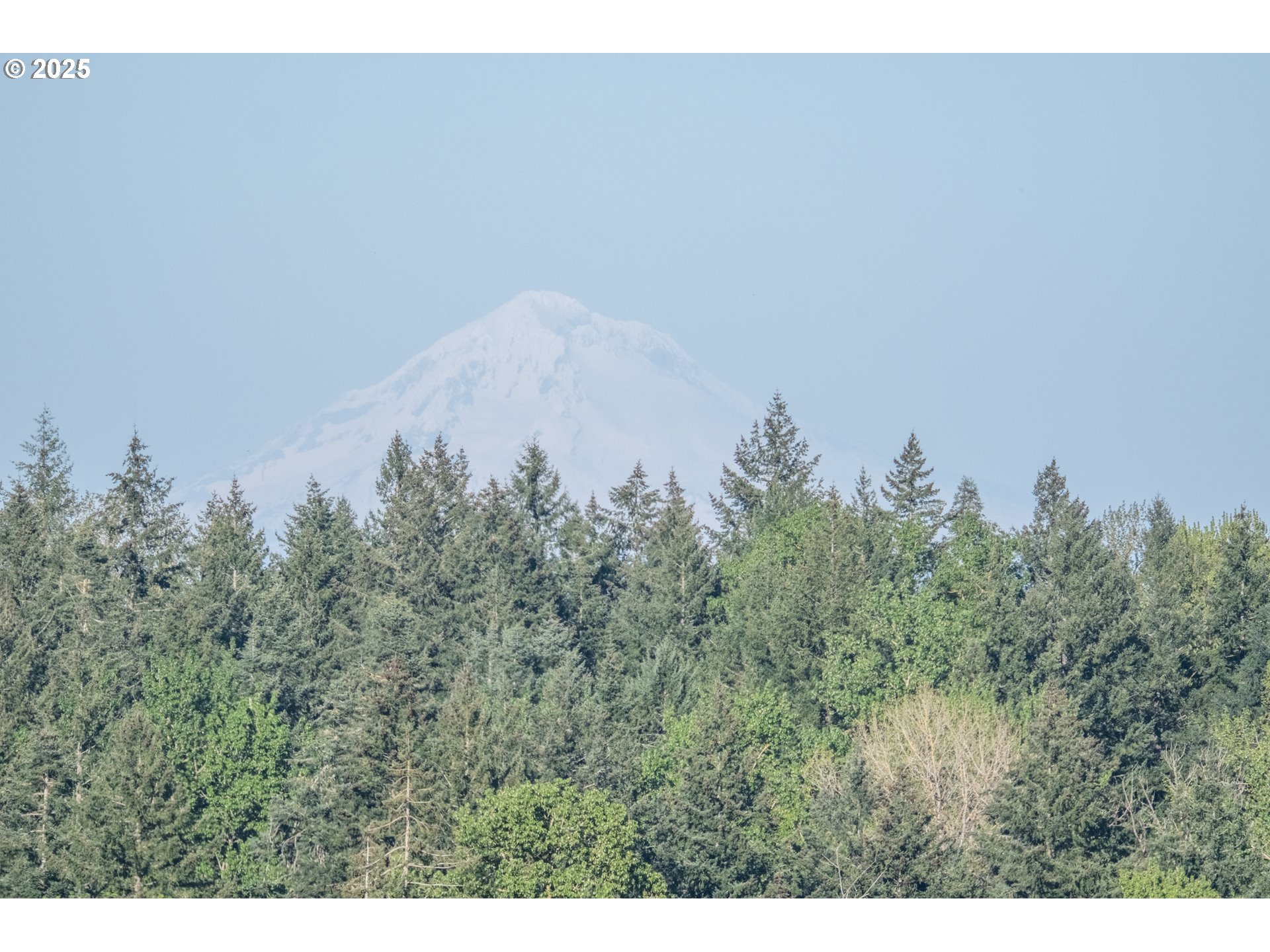 3372 Riverbend Road Salem, OR 97304 - Photo 32 of 40 a view of a field of grass and trees