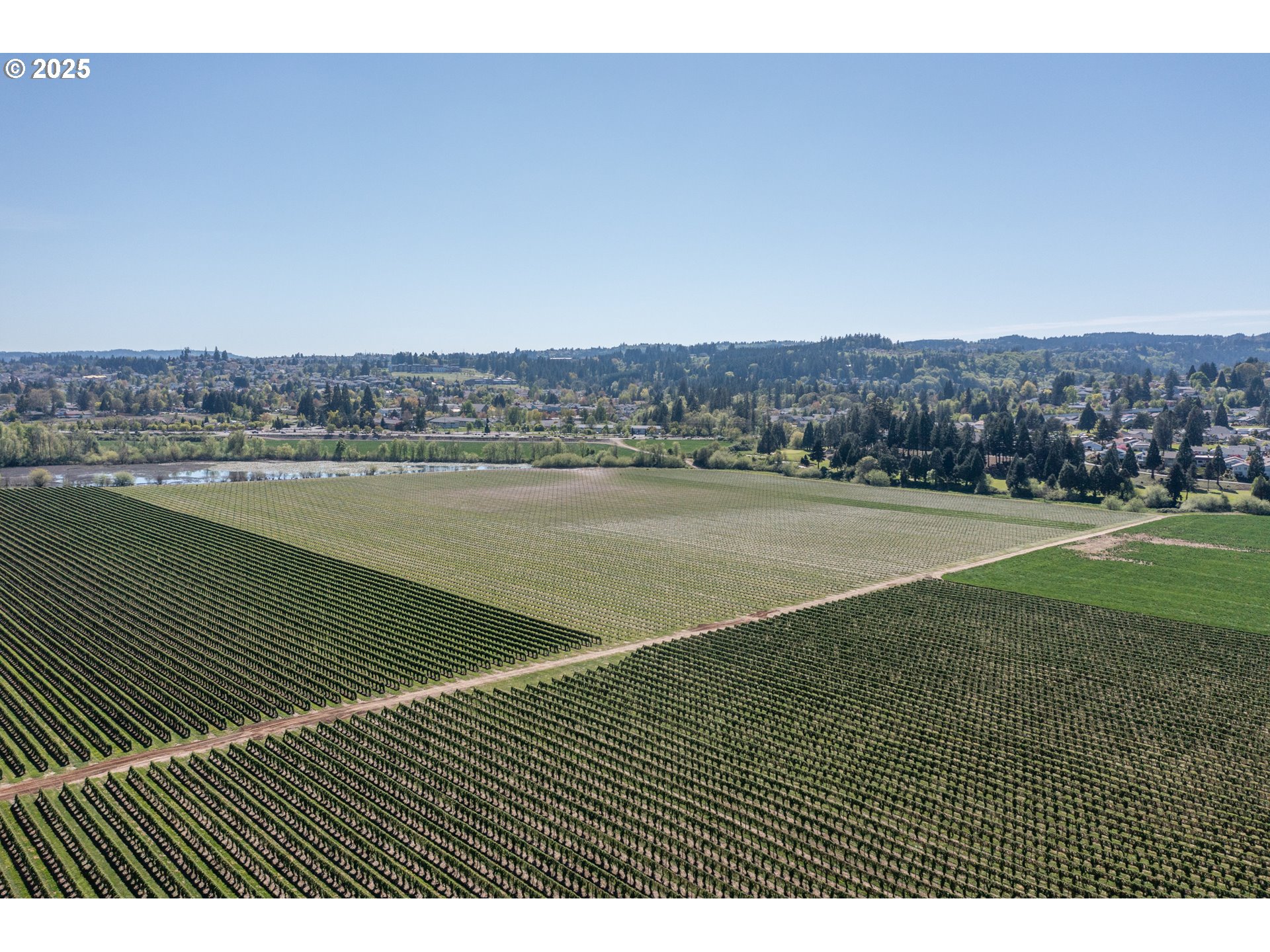 3372 Riverbend Road Salem, OR 97304 - Photo 5 of 40 a view of outdoor space and city view
