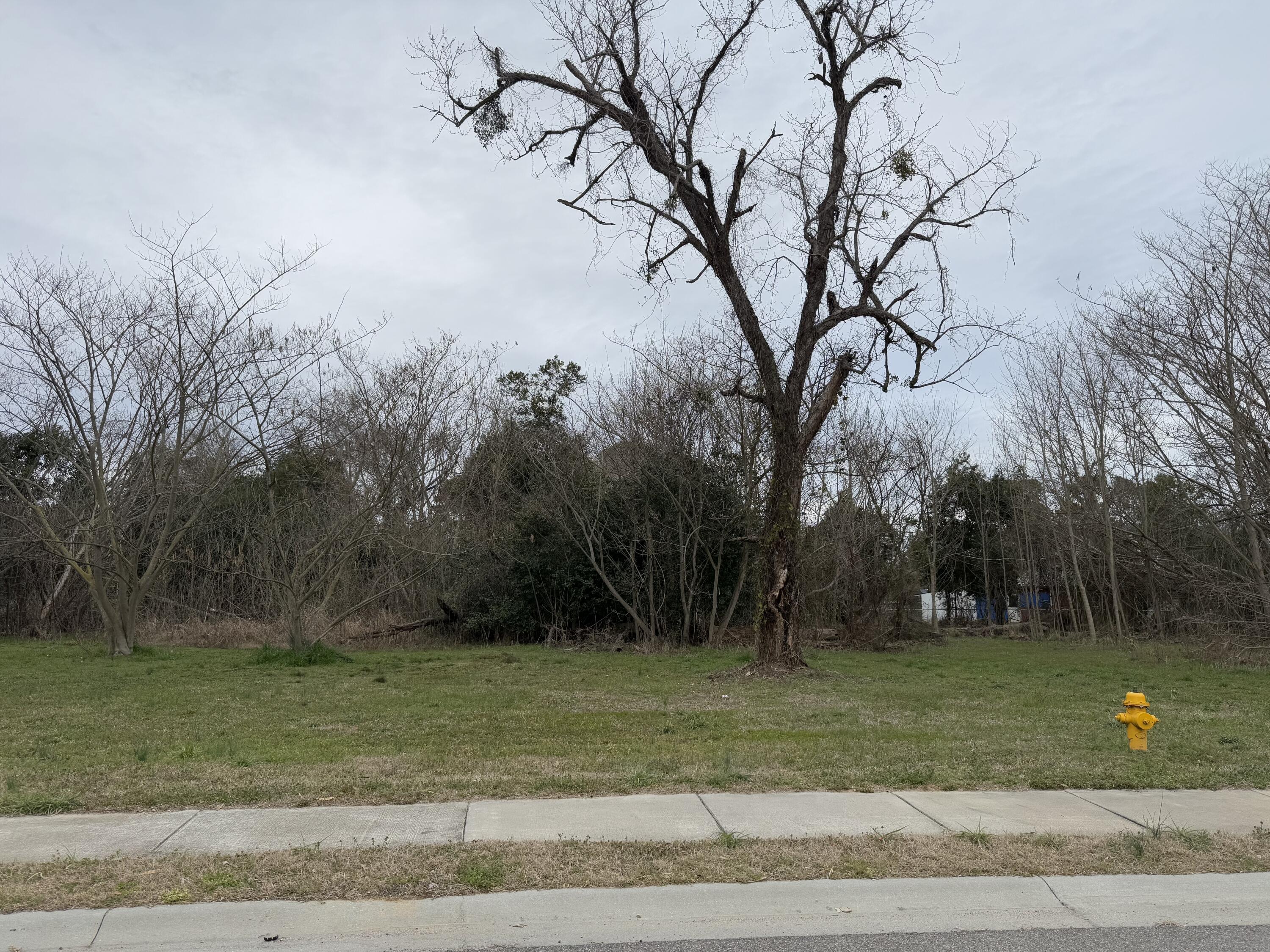 156 Mcelmurray Augusta, GA 30901 - Photo 2 of 2 Mcelmurray