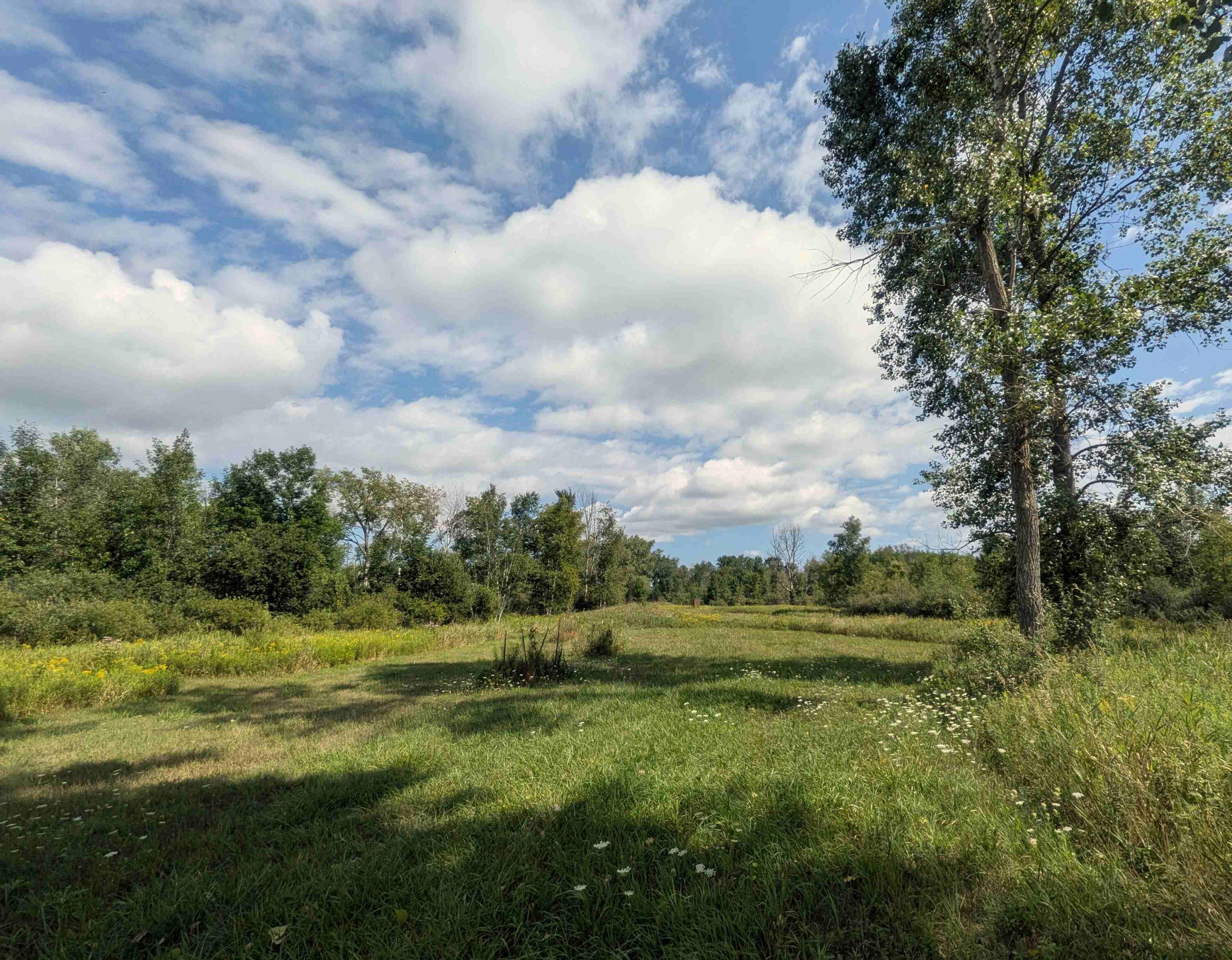 7541 East Bevens Road Deford, MI 48729 - Photo 28 of 29 14
