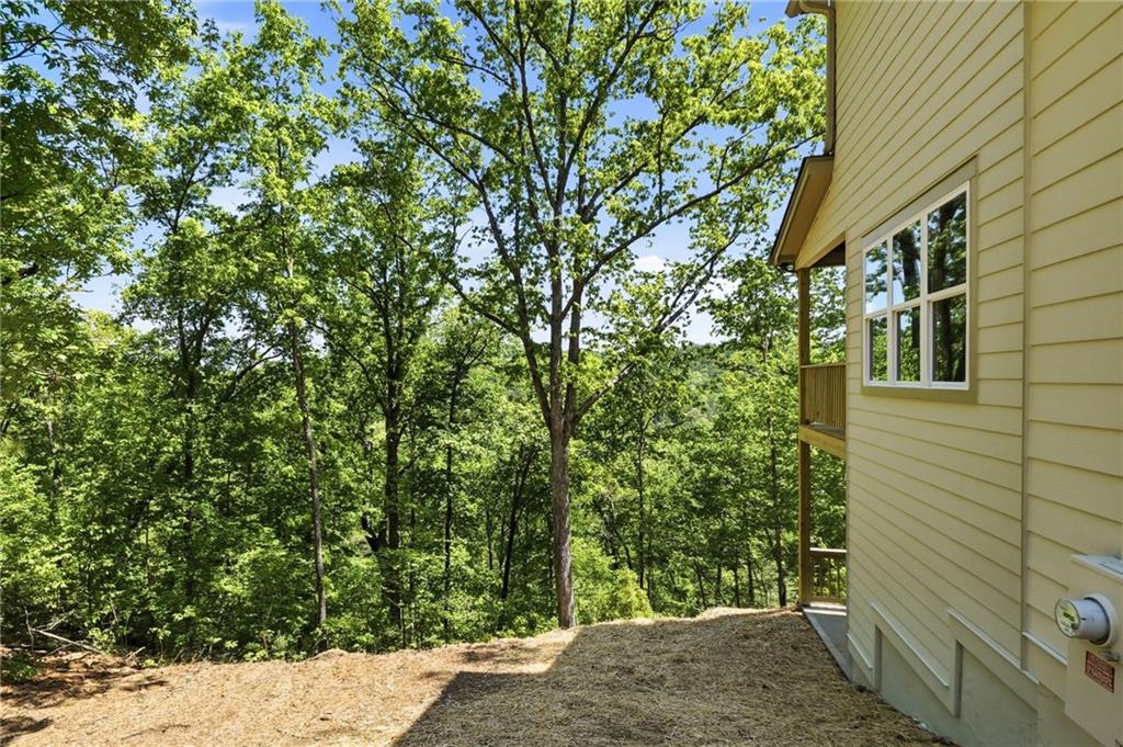 1600 Dover Drive Ranger, GA 30734 - Photo 45 of 55