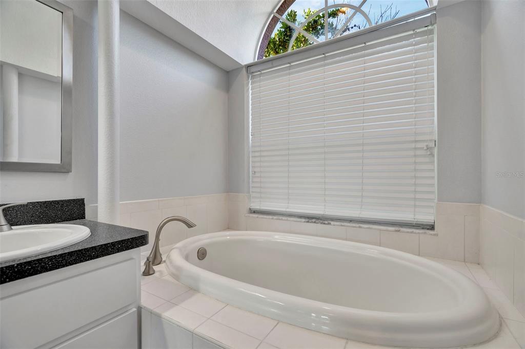 8918 Linebrook Drive Trinity, FL 34655 - Photo 19 of 50 a white bath tub sitting next to a white sink