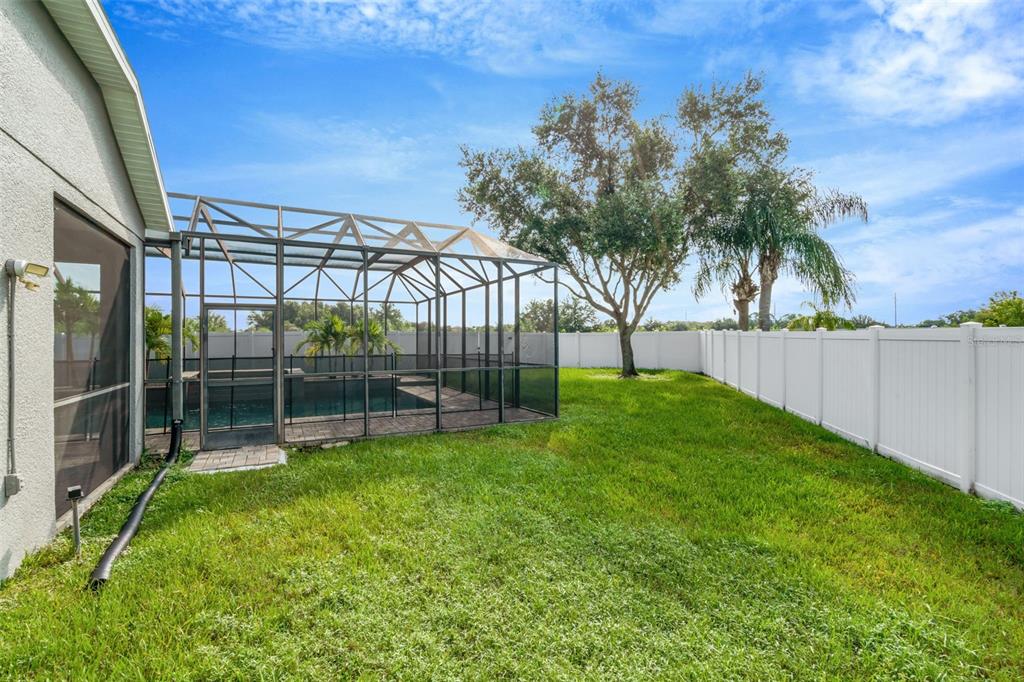 8918 Linebrook Drive Trinity, FL 34655 - Photo 44 of 50 a view of backyard with trampoline
