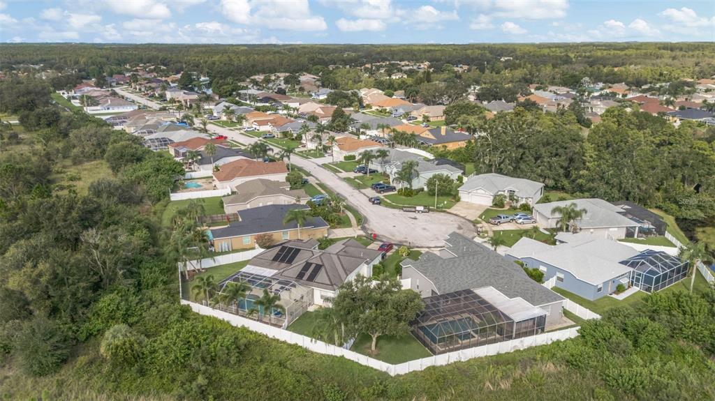 8918 Linebrook Drive Trinity, FL 34655 - Photo 50 of 50 an aerial view of residential houses with outdoor space