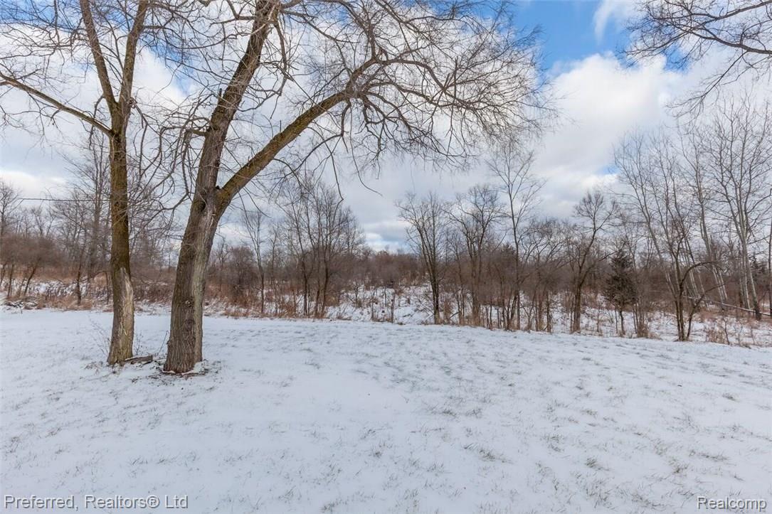 6165 Dutcher Road Howell, MI 48843 - Photo 20 of 22 Wooded property
