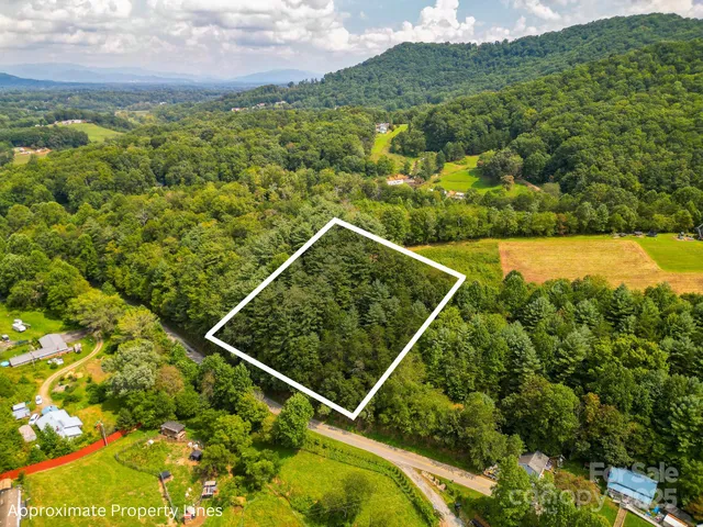 a view of a lush green field with a houses