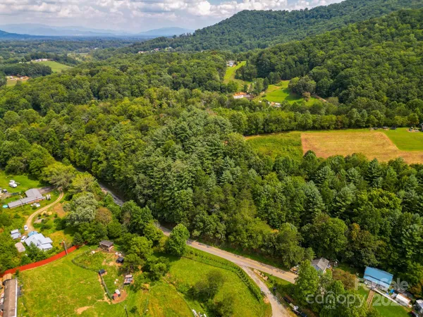a view of a forest with a houses