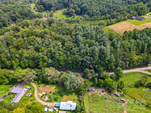 a view of a green field with lots of bushes