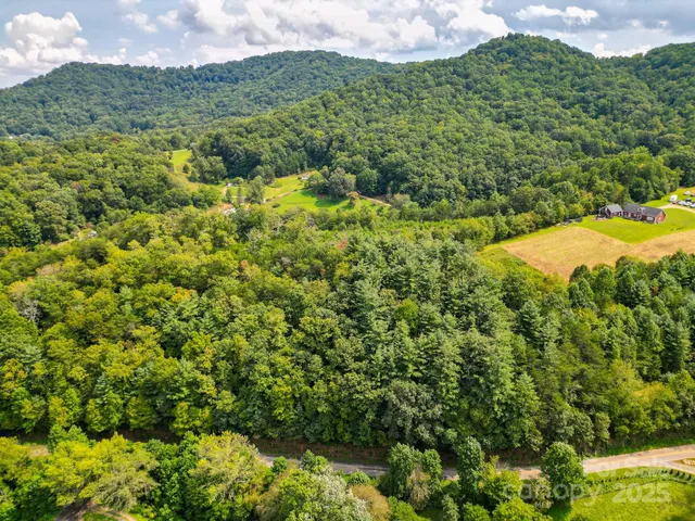 a view of a pathway with a park