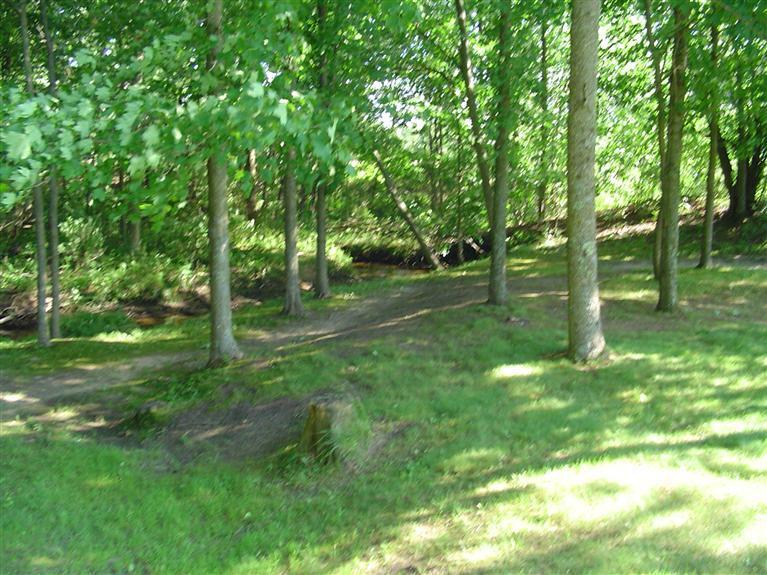 8458 West 1 Mile Road Hesperia, MI 49421 - Photo 16 of 24 Additional Photo