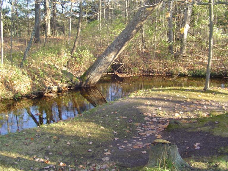 8458 West 1 Mile Road Hesperia, MI 49421 - Photo 4 of 24 Additional Photo