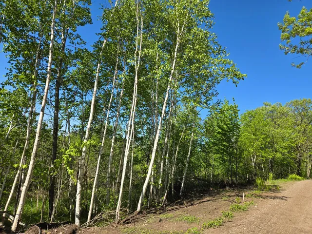 $266,600 | Xxxxx 360th Street, Onamia, MN 56359