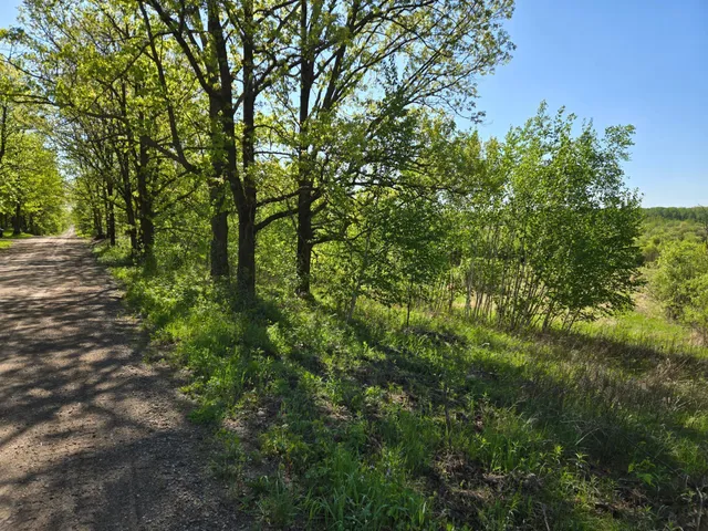 $266,600 | Xxxxx 360th Street, Onamia, MN 56359