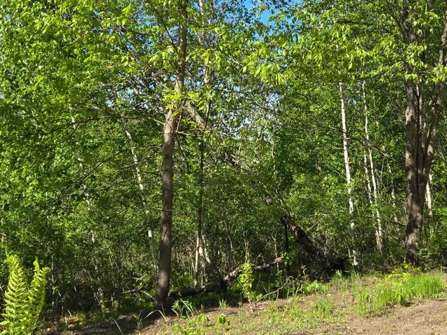 $266,600 | Xxxxx 360th Street, Onamia, MN 56359