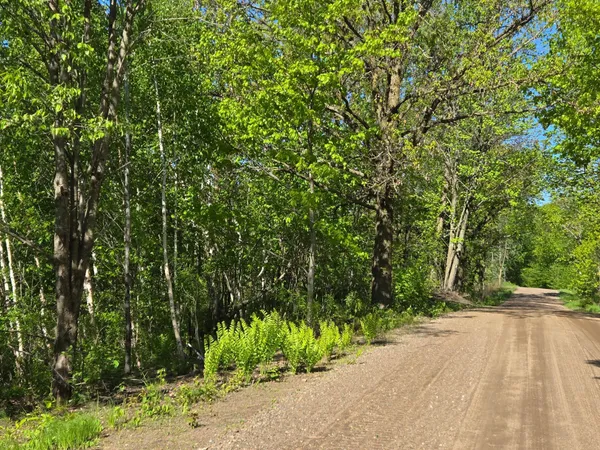 $259,000 | Tbd 360th Street, Onamia, MN 56359