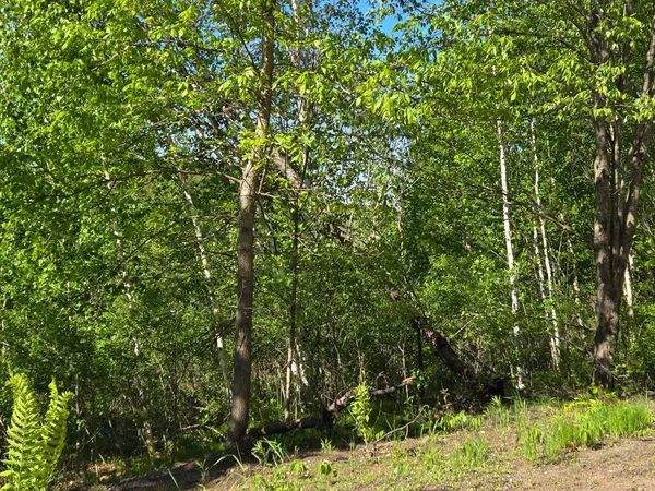$259,000 | Tbd 360th Street, Onamia, MN 56359
