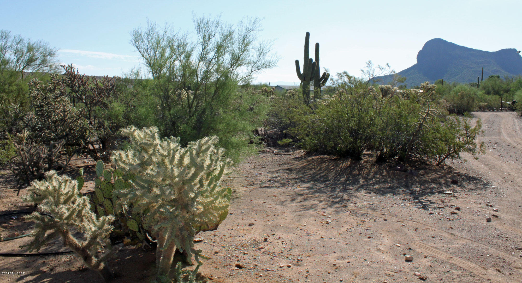10740 West Massingale Road Tucson, AZ 85743 - Photo 2 of 4 Gallery Image 2