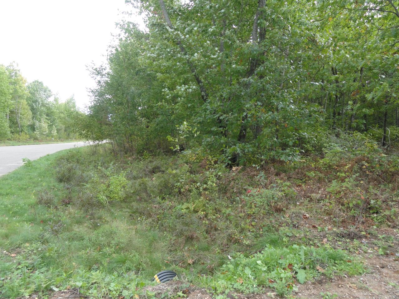 Lot 16 Pfeifer Road Tomahawk, WI 54487 - Photo 8 of 24 Gallery Image 8