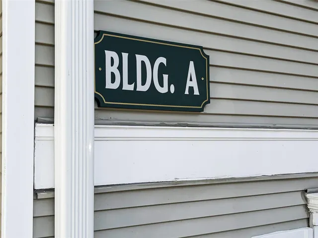 a view of backyard with large tree