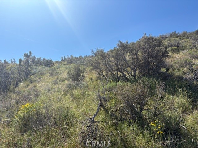 0 None Pinon Hills Pinon Hills, CA 92372 - Photo 2 of 11 a view of a yard