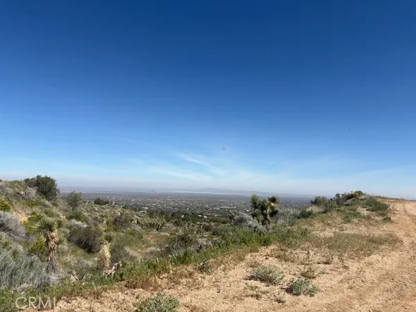 a view of a big yard of a house with a street