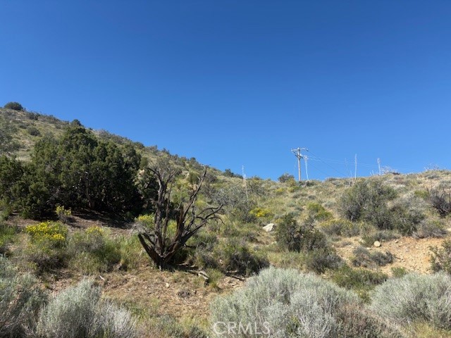 0 None Pinon Hills Pinon Hills, CA 92372 - Photo 7 of 11 a view of a field