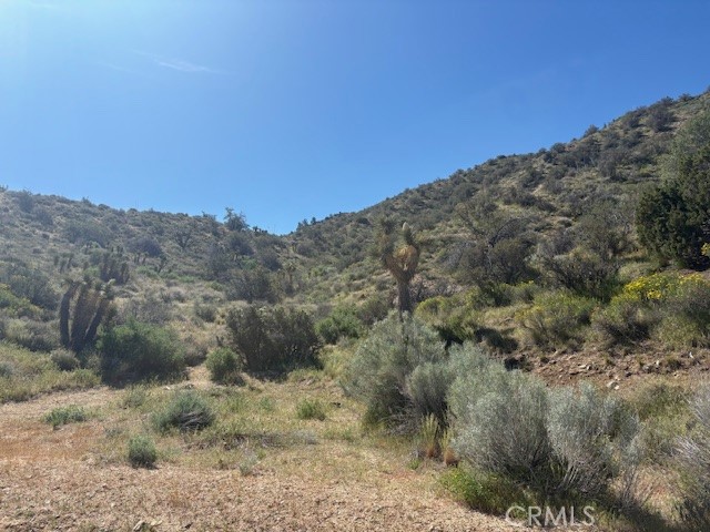 0 None Pinon Hills Pinon Hills, CA 92372 - Photo 8 of 11 a view of a dry yard