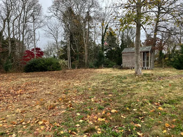 a tree in front of a white house